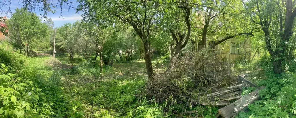 Участок 8 сот. (СНТ, ДНП) - Фото 1