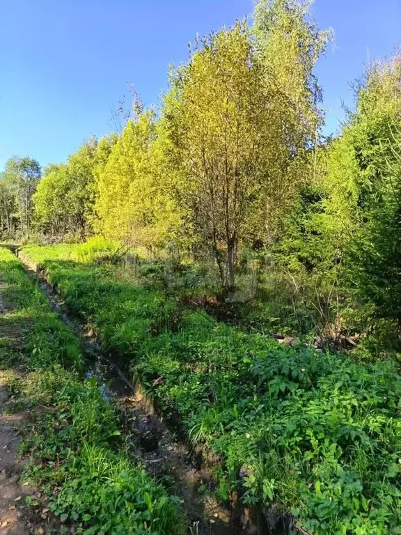 Участок в Вологодская область, Теремок садоводческое товарищество  ... - Фото 1