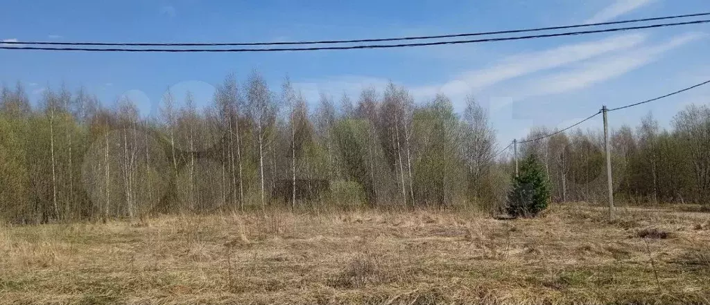 Участок 15 сот. (ИЖС) - Фото 1