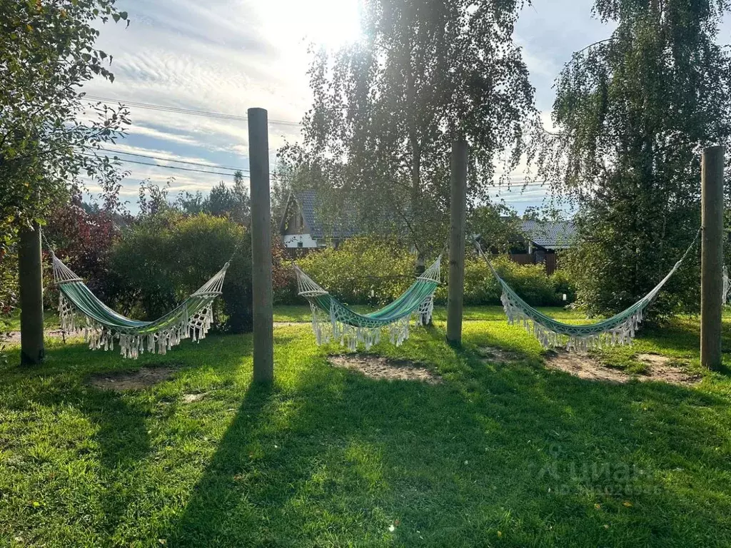 Участок в Ленинградская область, Приозерский район, Сосновское с/пос, ... - Фото 2