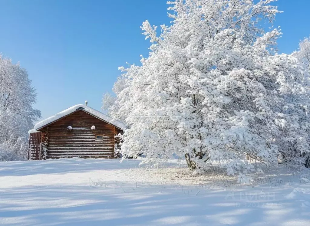 Участок в Карелия, Медвежьегорский муниципальный округ, Кумса Губа  ... - Фото 1