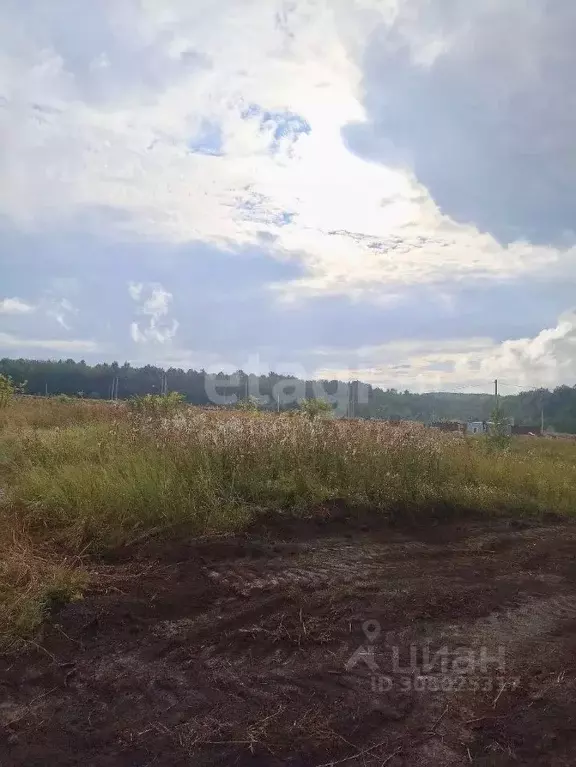 Участок в Татарстан, Верхнеуслонский район, Набережно-Морквашское ... - Фото 0