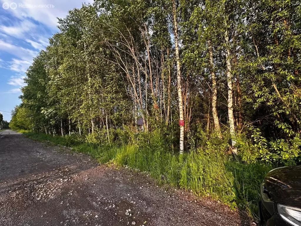Участок в Нова, Грибная улица (18.5 м) - Фото 0