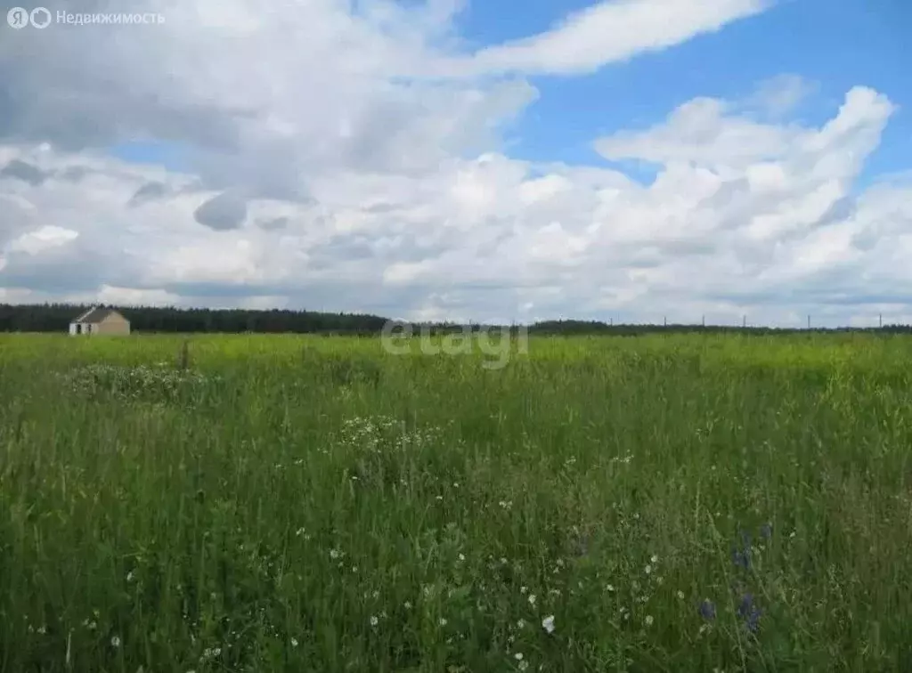Участок в Свердловская область, Ирбитское муниципальное образование, ... - Фото 1