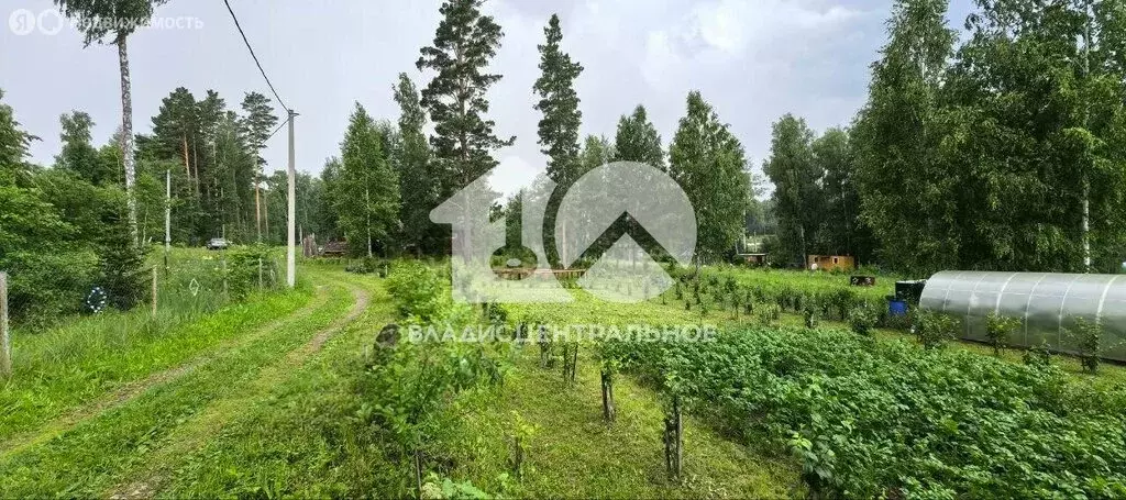 Участок в Барышевский сельсовет, садоводческое некоммерческое ... - Фото 0