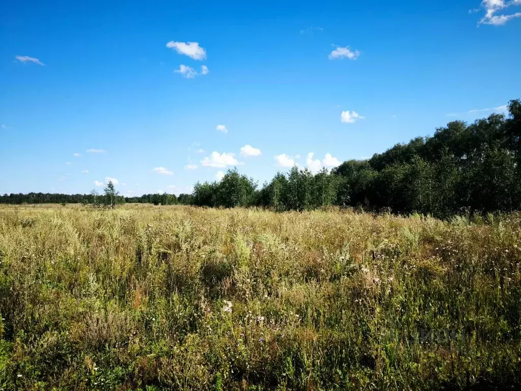 Участок в Омская область, Омский район, Усть-Заостровское с/пос  (10.0 ... - Фото 0