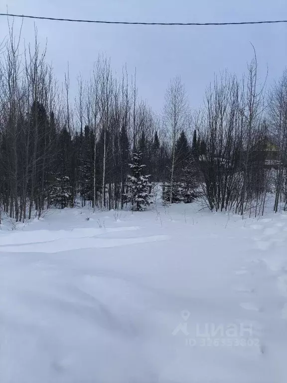 Участок в Пермский край, Пермский муниципальный округ, д. Усть-Тары ... - Фото 2