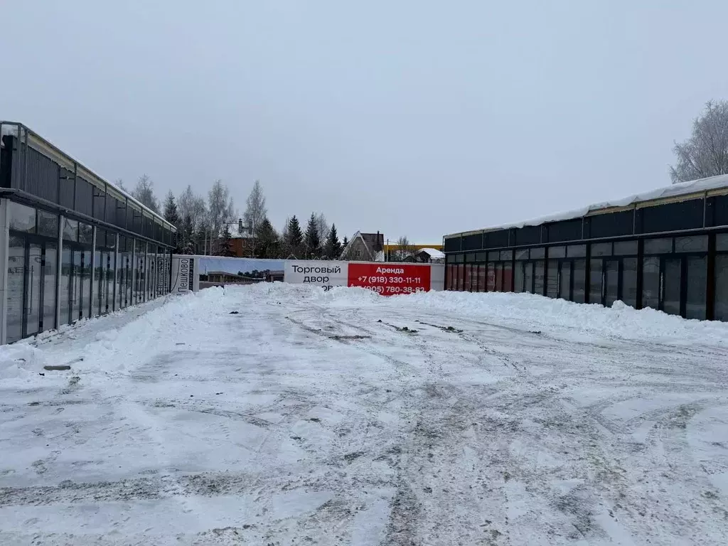 Торговая площадь в Московская область, Истра муниципальный округ, д. ... - Фото 2