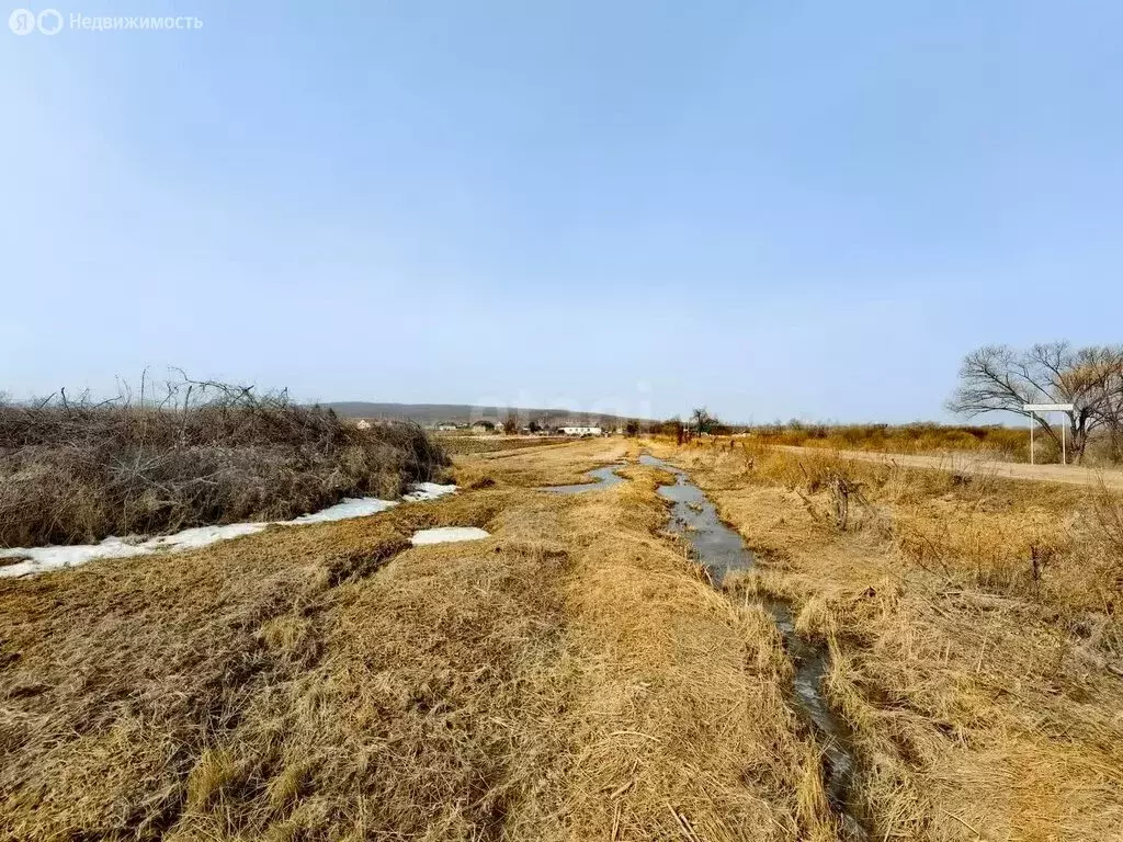 Участок в Приморский край, Анучинский муниципальный округ, село ... - Фото 1