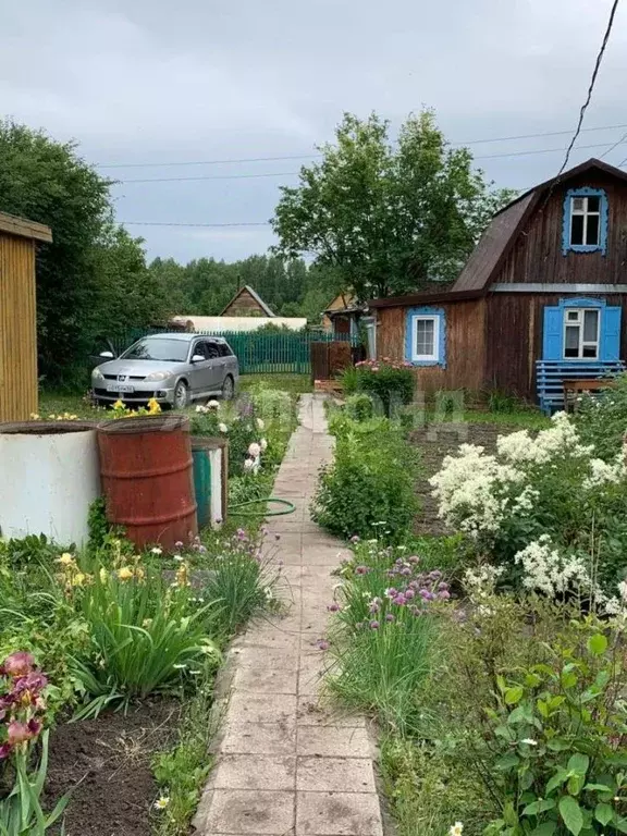 Дом в Новосибирская область, Колыванский район, Нива СНТ ул. ... - Фото 1