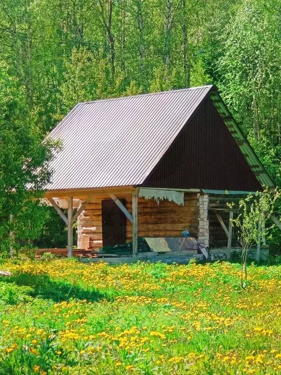 Дом в Свердловская область, Первоуральск ул. Ватутина (60 м) - Фото 1