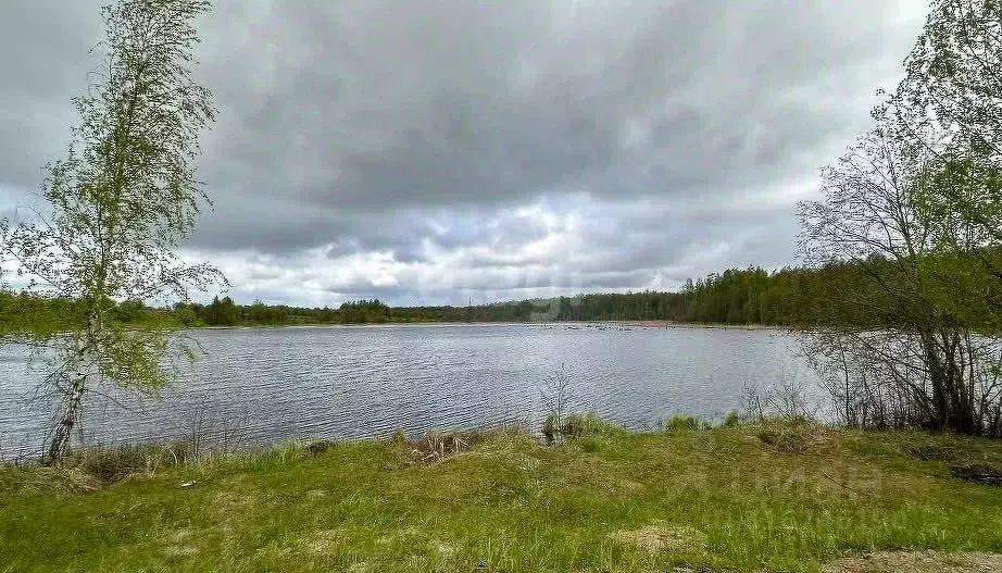 Участок в Ярославская область, Ростовский муниципальный округ, д. ... - Фото 1