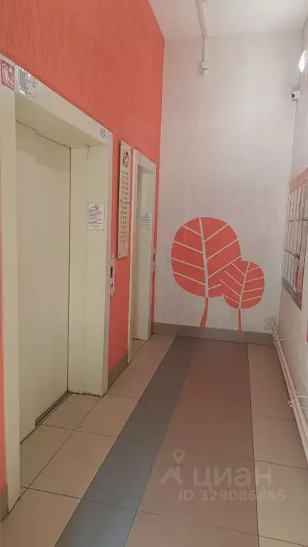 Студия Кемеровская область, Кемерово Пролетарская ул., 29/2 (24.3 м) - Фото 2