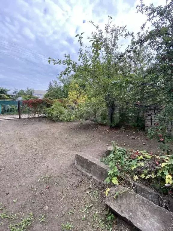 Участок в Саратовская область, Энгельсский район, Красноярское ... - Фото 1