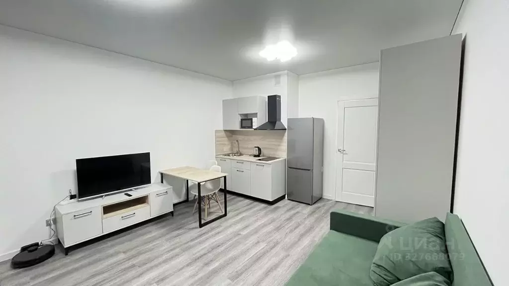 Студия Санкт-Петербург Дальневосточный просп., 23 (25.9 м) - Фото 1