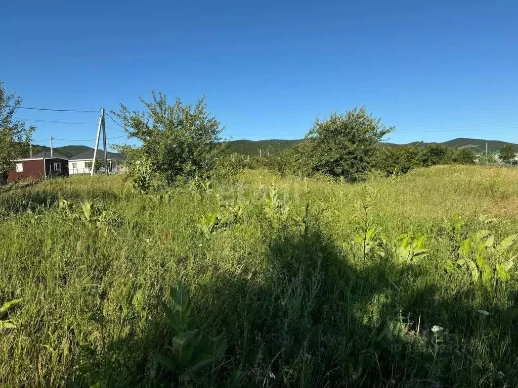 Участок в Краснодарский край, Новороссийск городской округ, ... - Фото 1