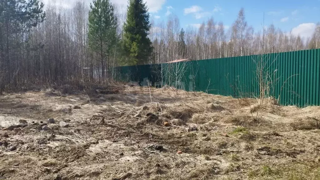 Участок в Вологодская область, Камыш садоводческое товарищество  ... - Фото 1