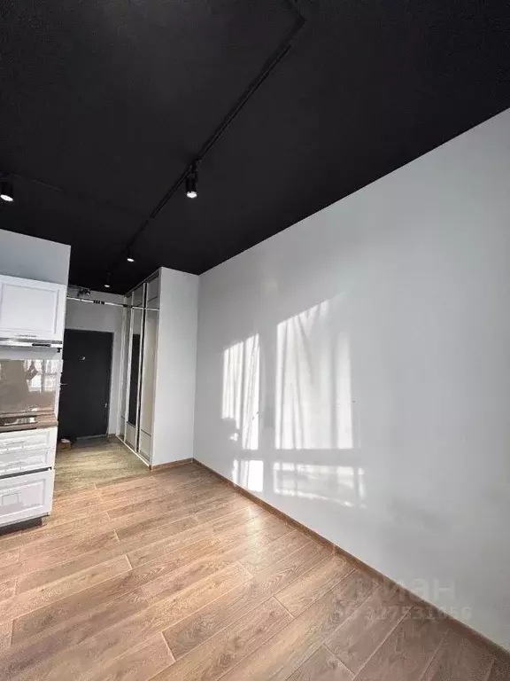 Студия Московская область, Химки городской округ, д. Рузино, ... - Фото 1