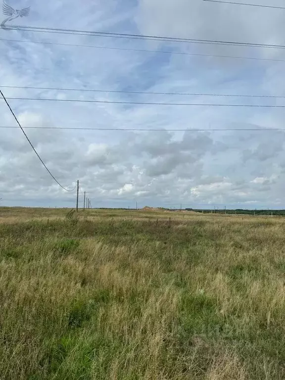 Участок в Хабаровский край, Хабаровский район, с. Таежное 13 (11.81 ... - Фото 0