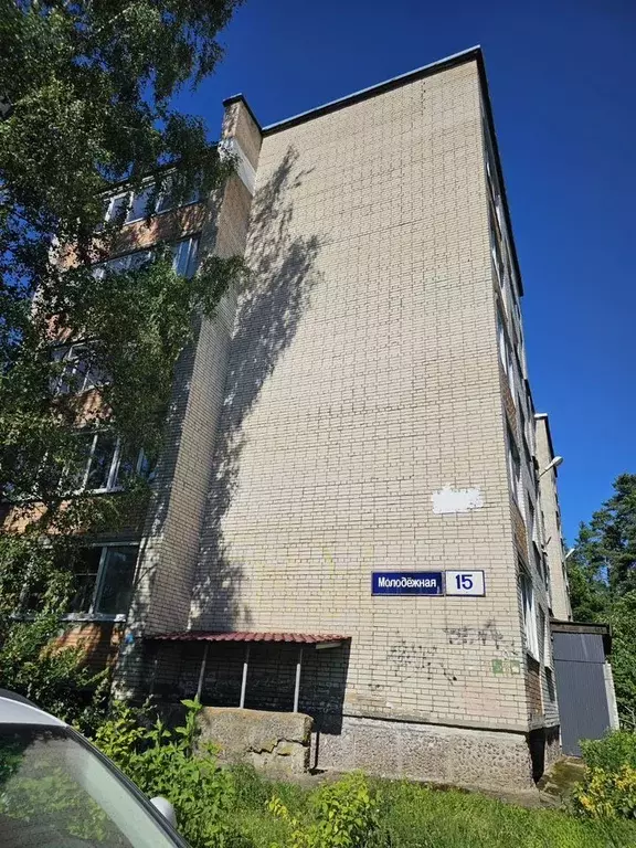 2-к кв. Ленинградская область, Сосновый Бор Молодежная ул., 15 (49.0 ... - Фото 1