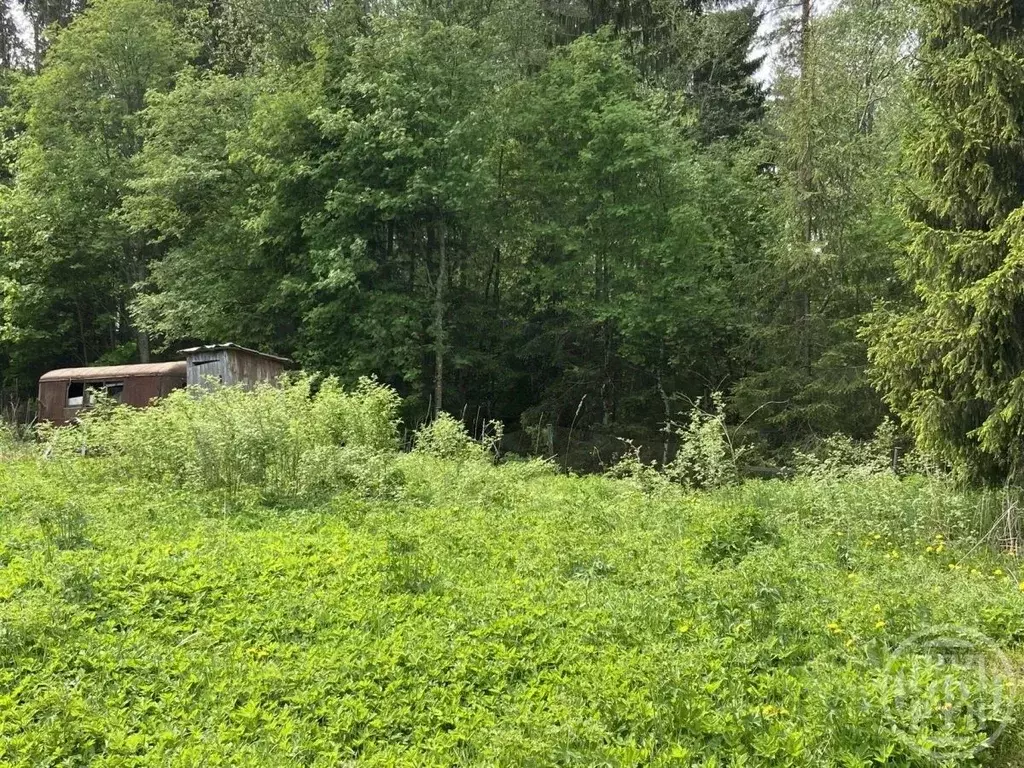 Участок в Ленинградская область, Всеволожский район, Юкковское с/пос, ... - Фото 2