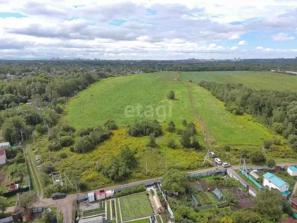 Участок в Хабаровский край, Хабаровский район, Тополевское с/пос, с. ... - Фото 1