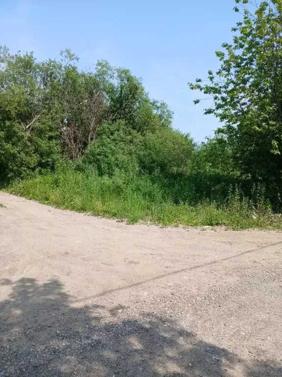 Участок в Томская область, Томск с. Дзержинское,  (11.0 сот.) - Фото 2