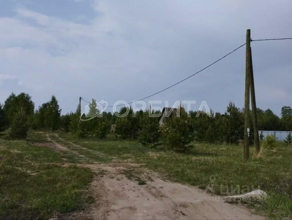 Участок в Тюменская область, с. Нижняя Тавда ул. Березовая, 11 (10.0 ... - Фото 2