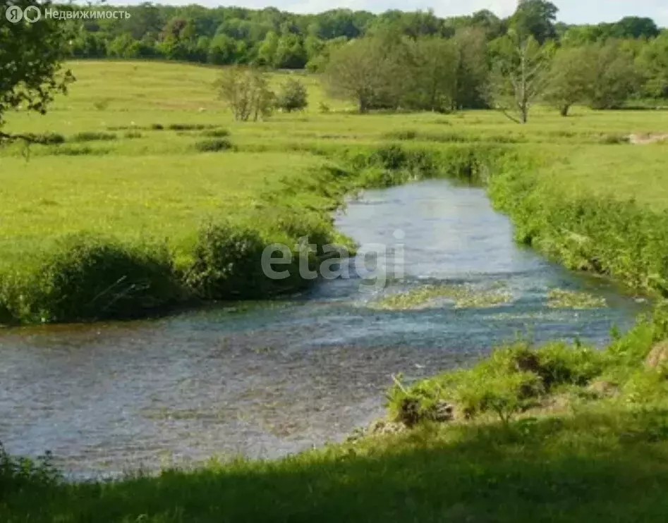 Участок в Тамбовский муниципальный округ, село Троицкая Дубрава ... - Фото 1
