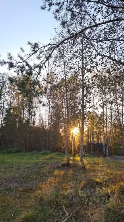 Участок в Ленинградская область, Всеволожский район, Колтушское ... - Фото 1