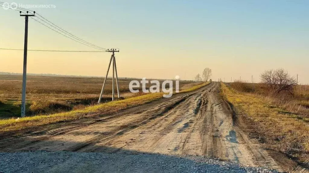 Участок в Новосибирская область, рабочий посёлок Колывань (10 м) - Фото 1