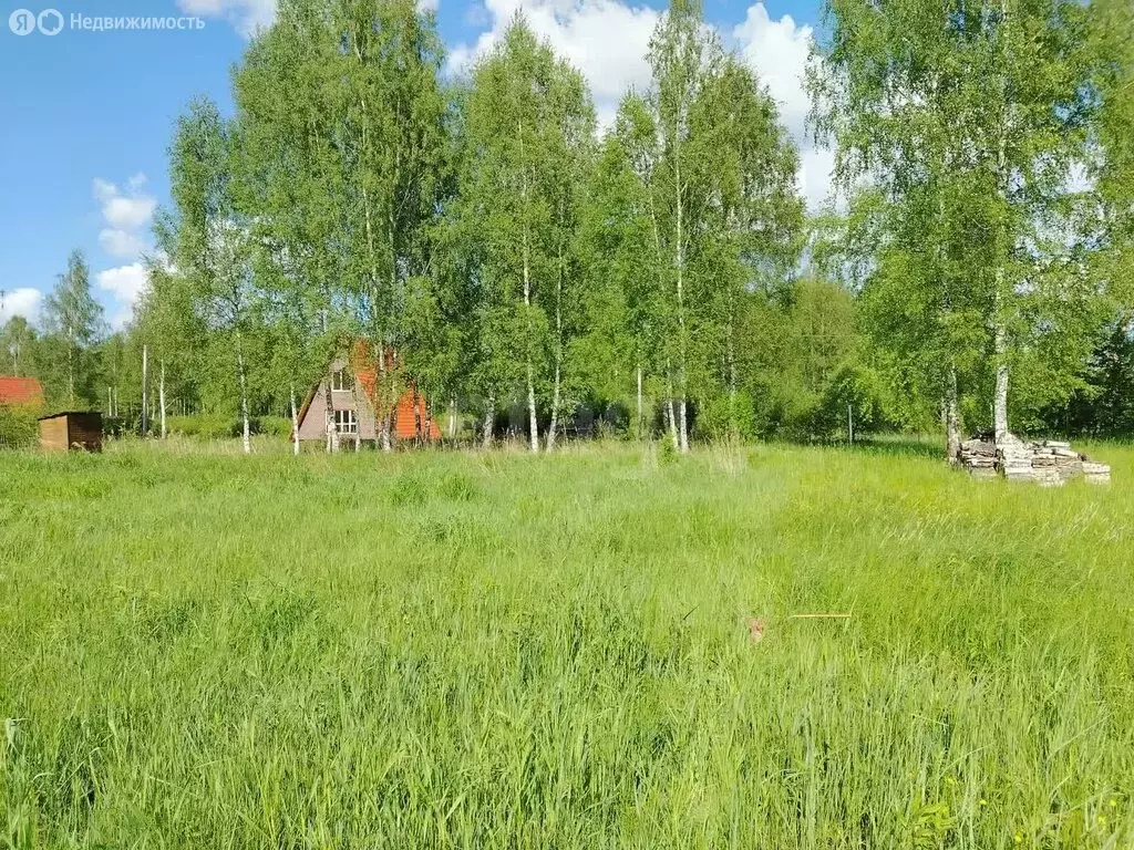 Участок в Ярославский муниципальный округ, деревня Жуково ... - Фото 0