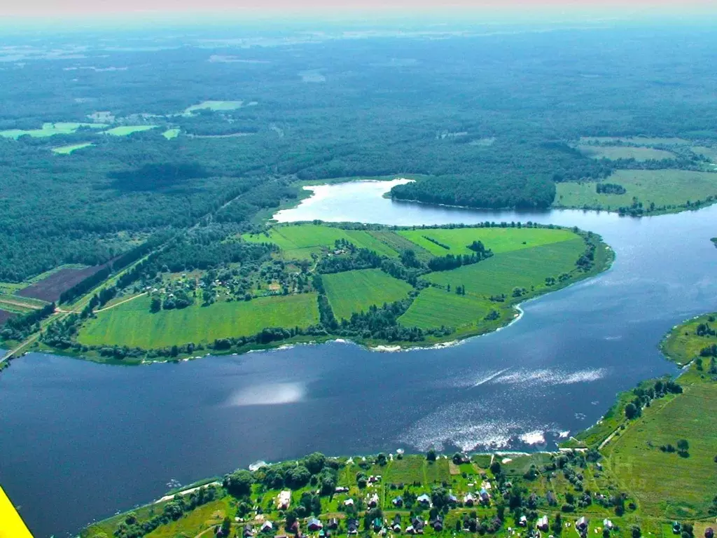 Участок в Ярославская область, Угличский муниципальный округ, д. ... - Фото 2