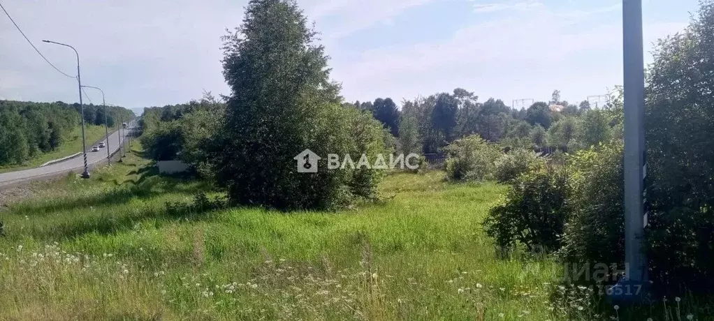 Участок в Бурятия, Кабанский район, пос. При станции Боярский ул. ... - Фото 2