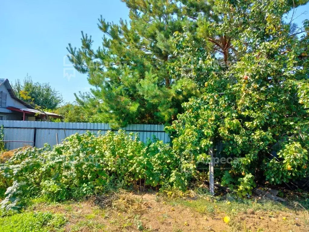 Участок в Волгоградская область, Волжский Трубник СНТ, ул. 13-я (5.12 ... - Фото 1