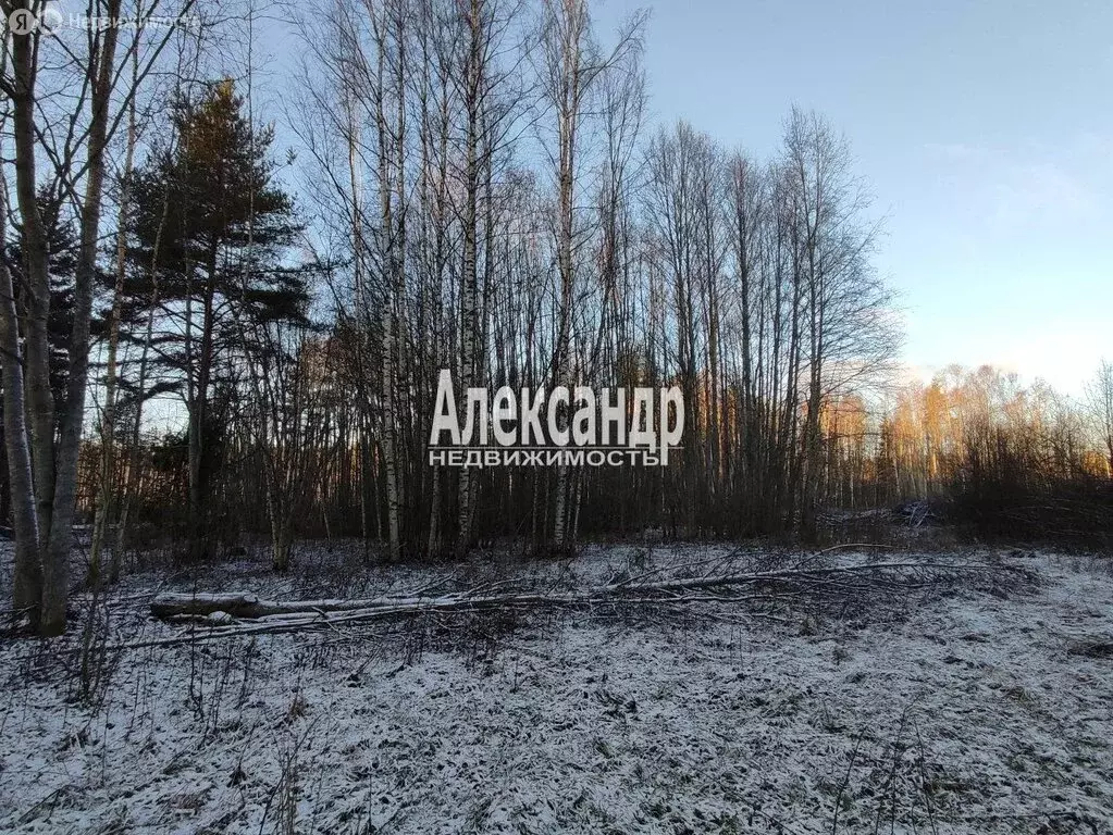 Участок в Ларионовское сельское поселение (10 м) - Фото 1