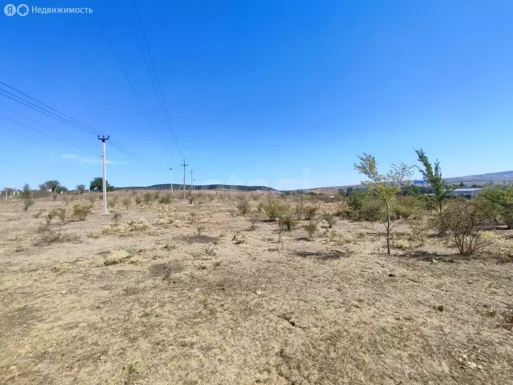 Участок в Трудовское сельское поселение, село Строгоновка (100 м) - Фото 1