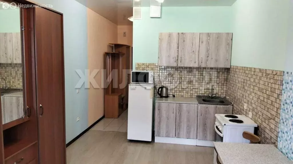 Квартира-студия: Новосибирск, улица Фадеева, 66/4 (23 м) - Фото 1