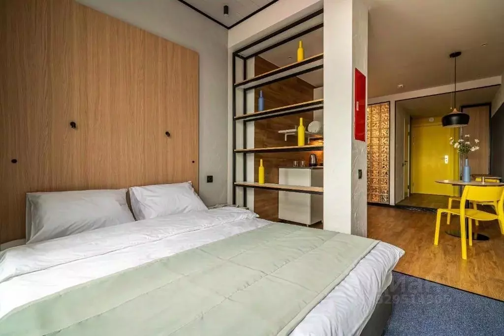 Студия Псковская область, Псков ул. Металлистов, 25 (24.0 м) - Фото 1