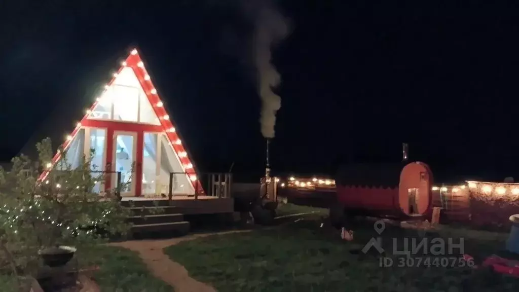 Дом в Воронежская область, с. Новая Усмань ул. Октябрьская, 447 (55 м) - Фото 0