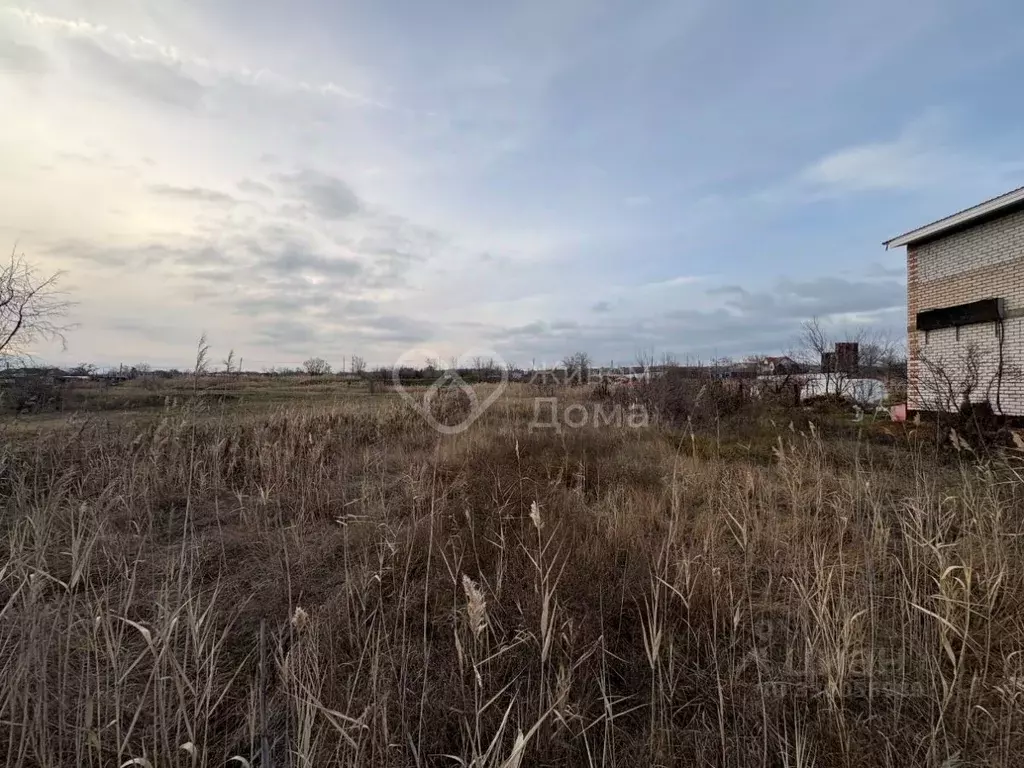 Участок в Волгоградская область, Светлоярский район, ... - Фото 2