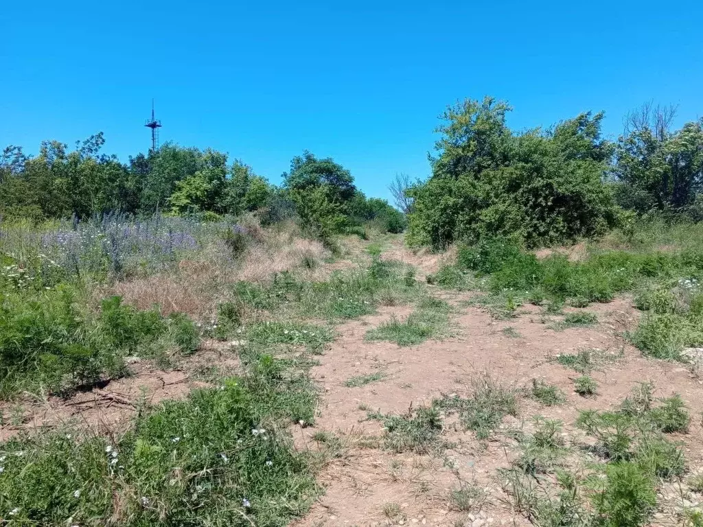 Участок в Адыгея, Майкоп ш. Келермесское (99.48 сот.) - Фото 1