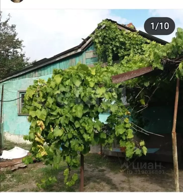 Дом в Ростовская область, Аксайский район, Старочеркасская ст-ца ул. ... - Фото 0