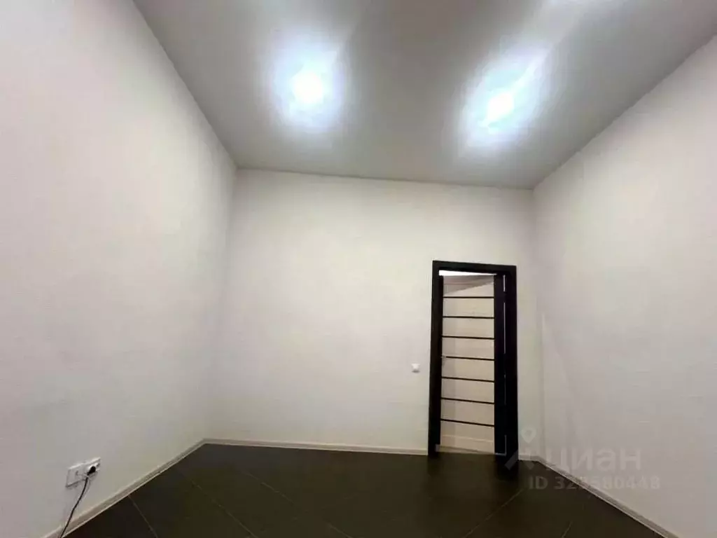 Помещение свободного назначения в Пензенская область, Пенза ул. ... - Фото 1