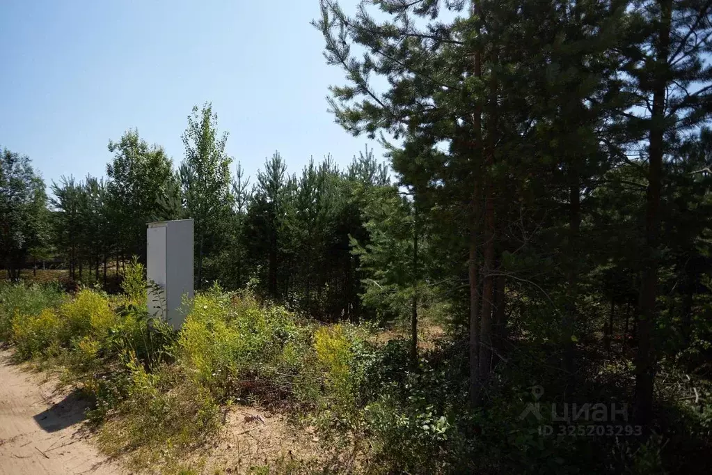 Участок в Ленинградская область, Выборгский район, Первомайское с/пос, ... - Фото 2