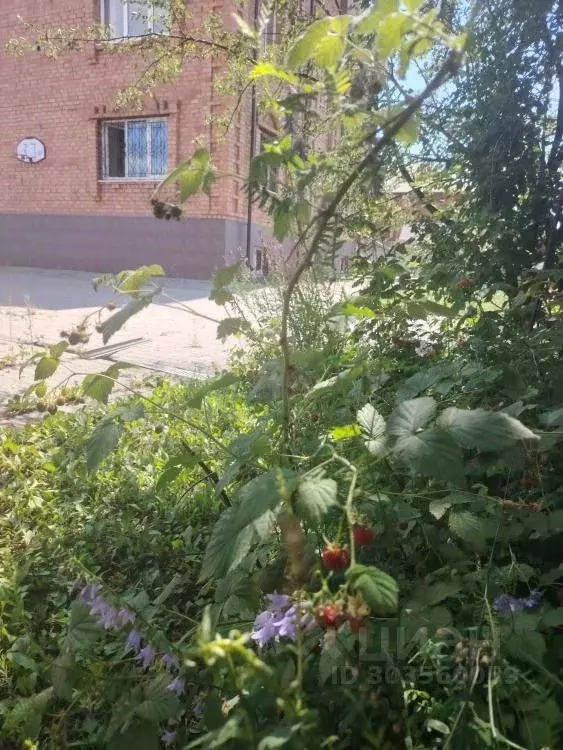 Дом в Иркутская область, Иркутский муниципальный округ, пос. ... - Фото 0