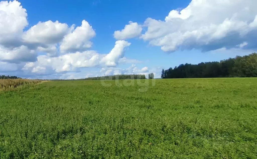 Участок в Калужская область, Ферзиковский район, Бебелевский ... - Фото 2