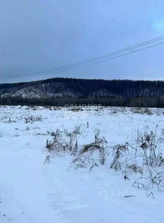 Участок в Башкортостан, Чишминский район, Алкинский сельсовет, д. ... - Фото 1