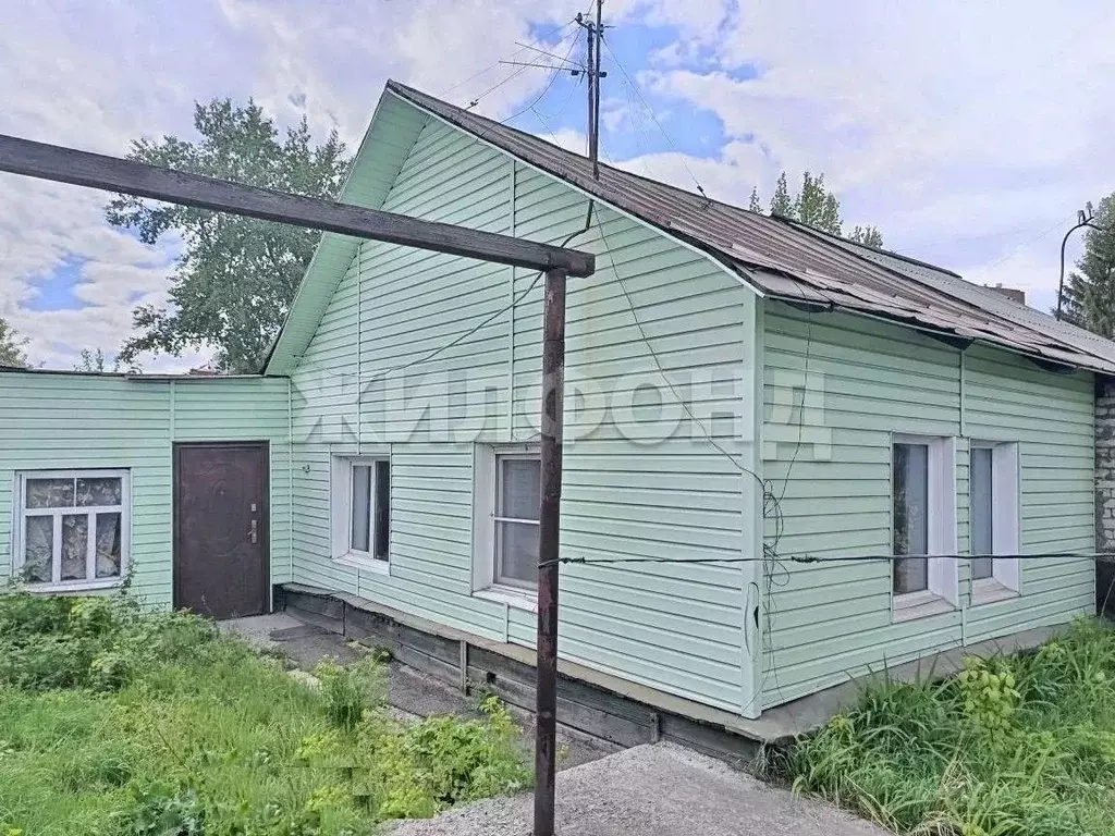 Дом в Алтайский край, Барнаул Трудовой пер. (35 м) - Фото 1