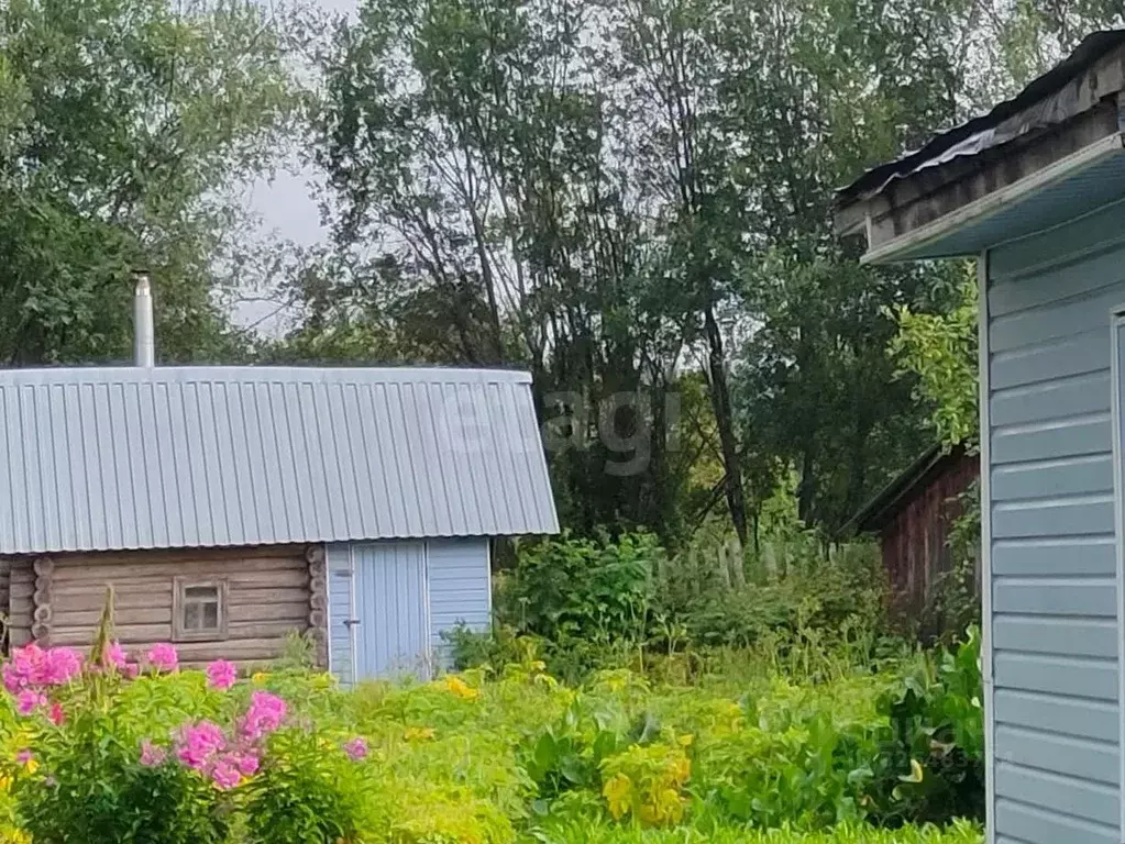Дом в Вологодская область, Вашкинский муниципальный округ, д. Грикшино ... - Фото 1